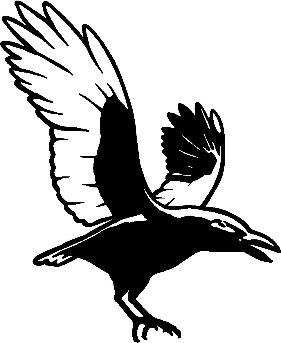 Crow Bird Drawing