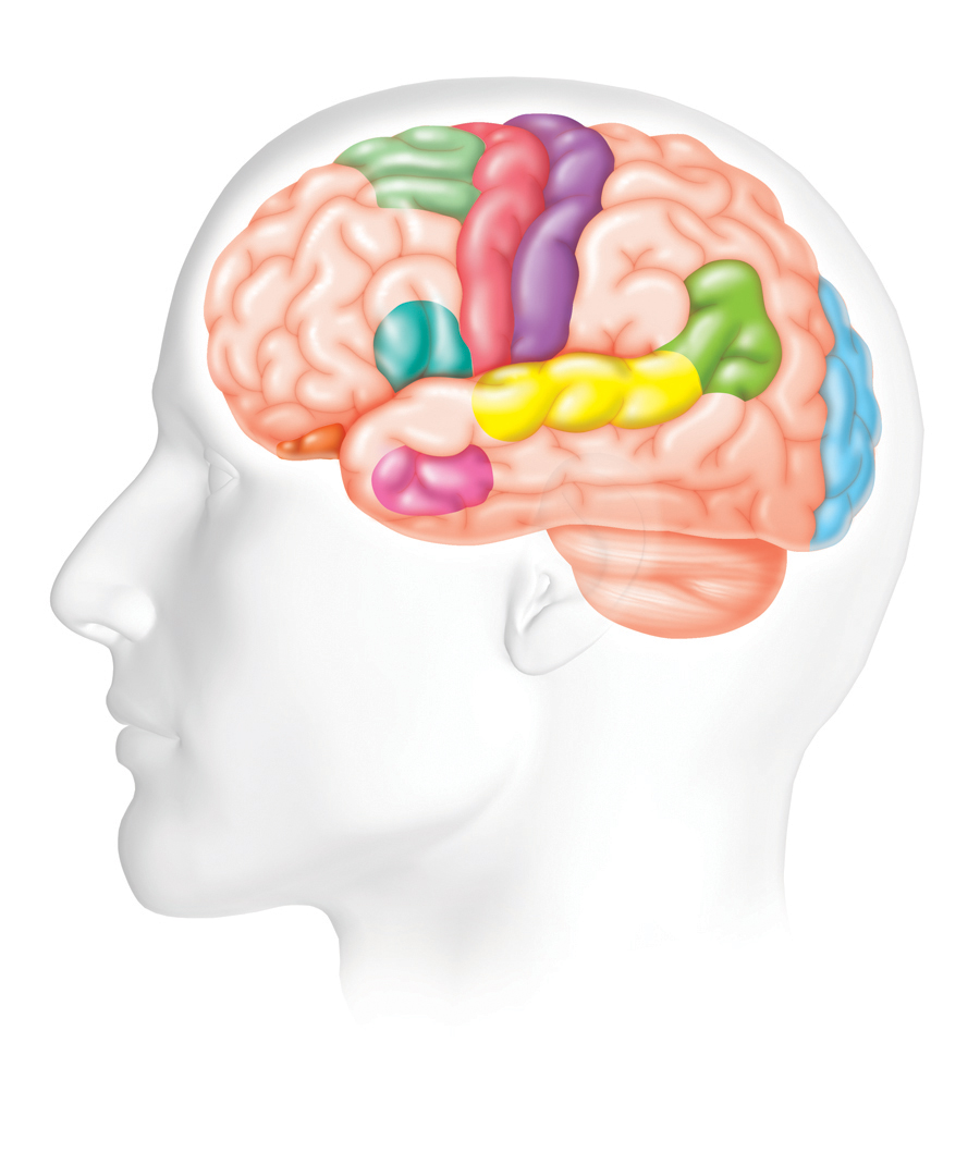 Brainiac Kids Community Education - National Stroke Association