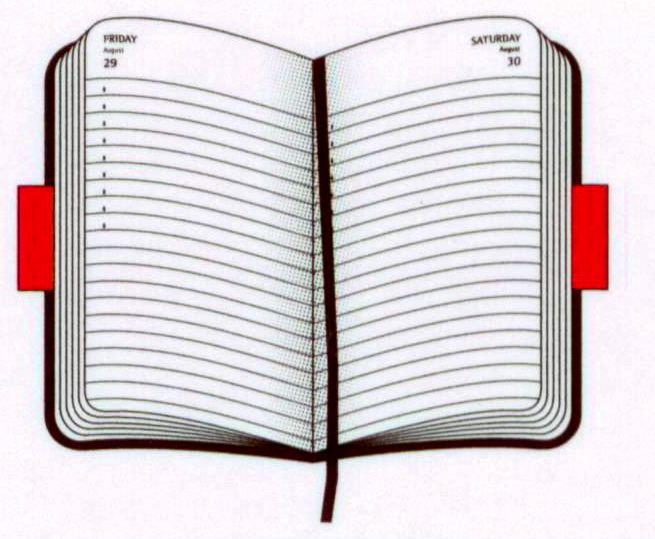 MojoLondon: Moleskine 2009 Black Patent Leather Day to Page Diary ...