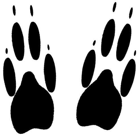 Purple Panther Paw