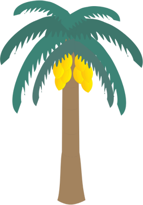 Coconut Tree Vector