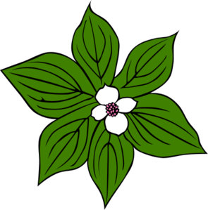 Dogwood Flower Clip Art - ClipArt Best