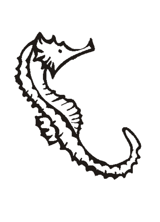 Sea Horse Coloring Sheet