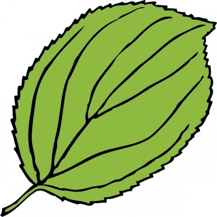 Serrate Daun Clip Art-vektor Clip Art-vektor Gratis Download Gratis