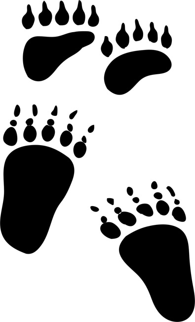 Brown Bear Animal Tracks Stencils - stencilease.com