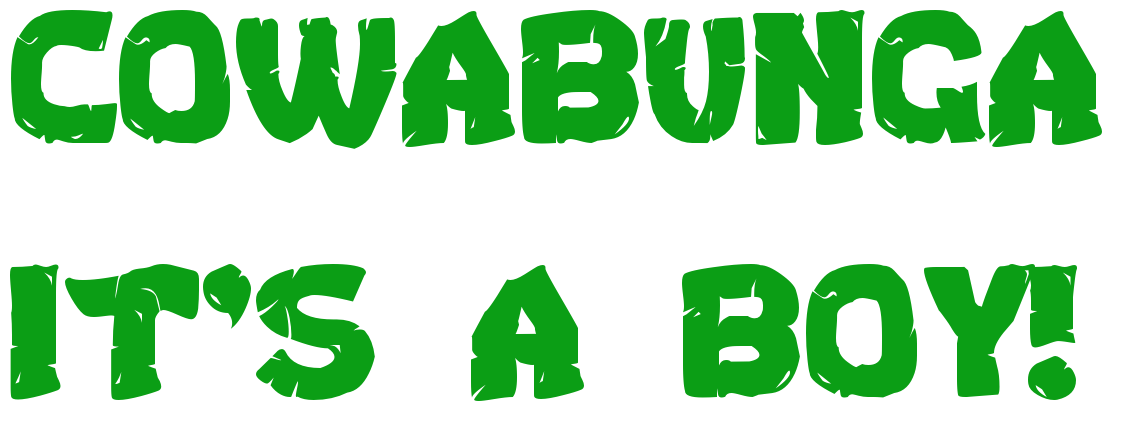 1000+ images about Ninja Turtle Baby Shower Theme ...