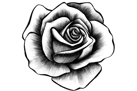 Black And White Realistic Rose Drawing - Pin By Victoria On Black And ...