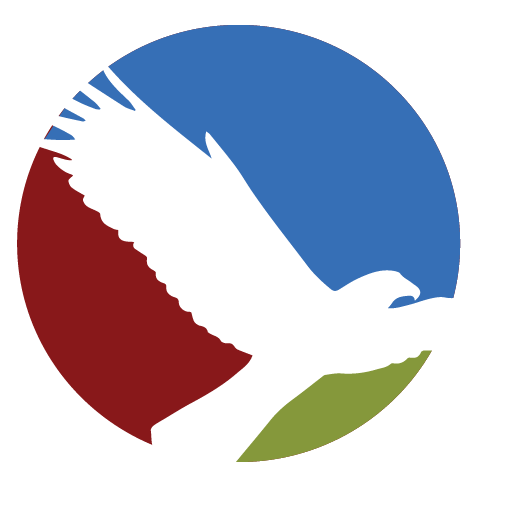 SOAR | Transform Your Business