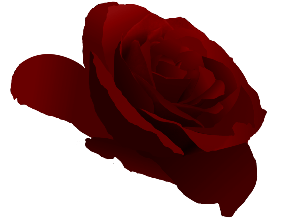 Crimson Rose Vector