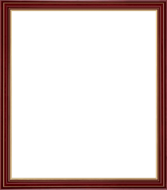 Custom Diploma Frames &amp; Certificate Frames - Framing Success ...