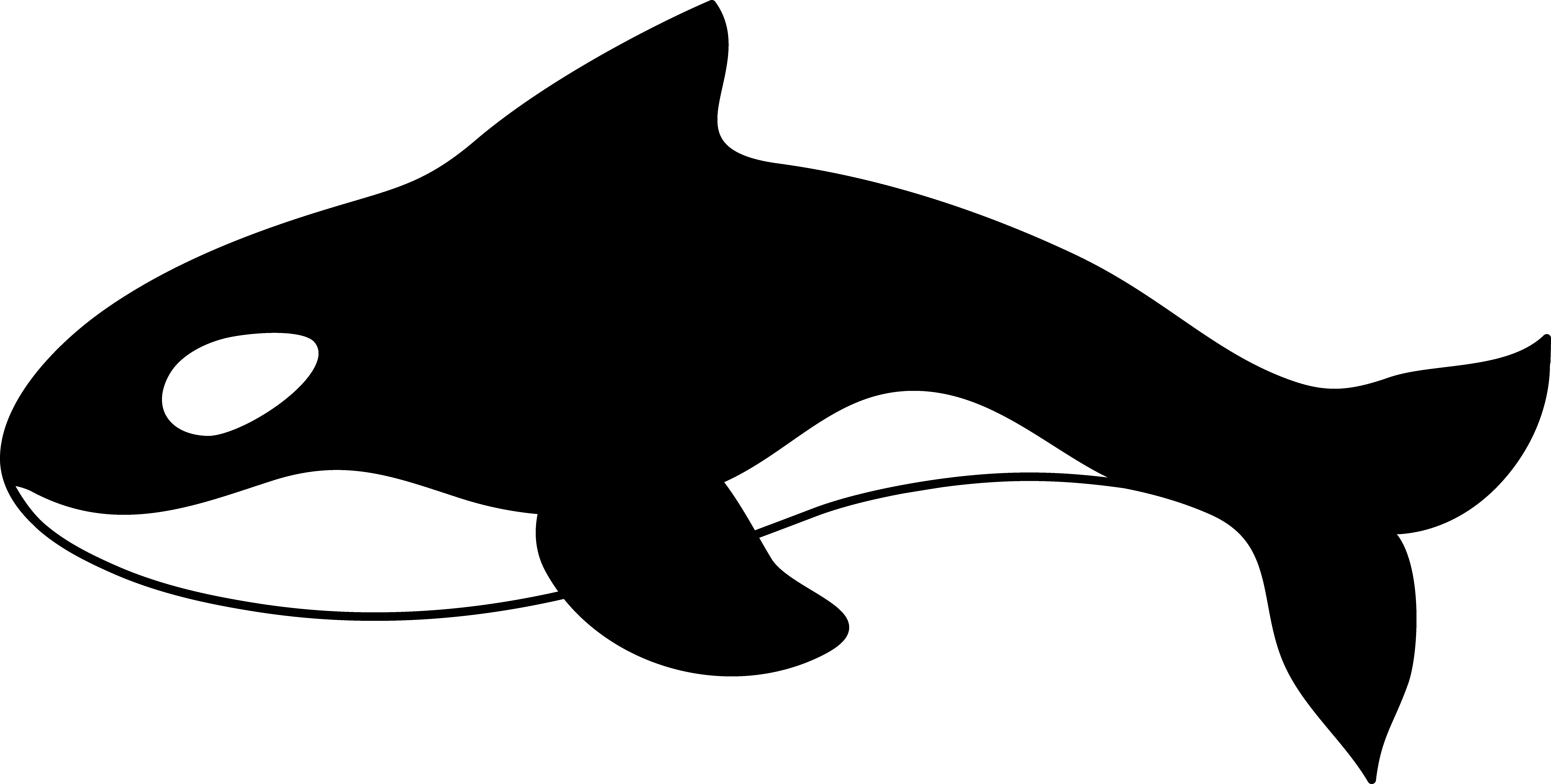 Cartoon Orca - ClipArt Best