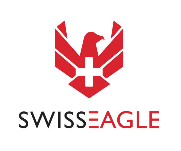 100+ Best Eagle Logo Design Samples for Inspiration