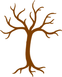 tree-trunk-and-branches-md.png
