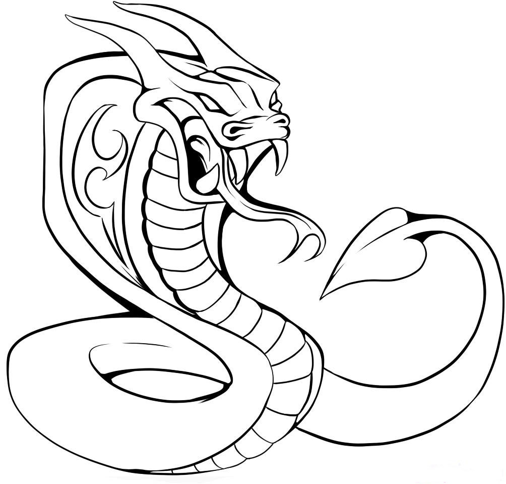 Drawing Snake Heads - ClipArt Best