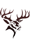 Trendy Tribals, inc. - *** Entire Site-No Categories *** - ALL