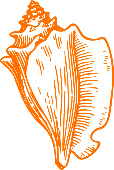 Conch Shell Clip Art