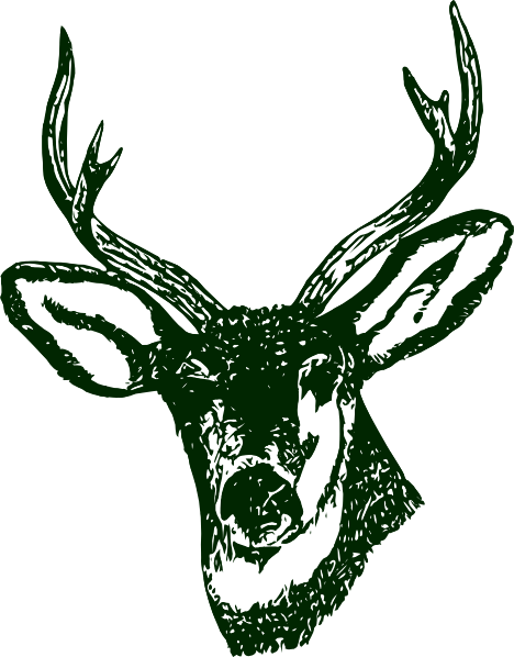 Stag head logo