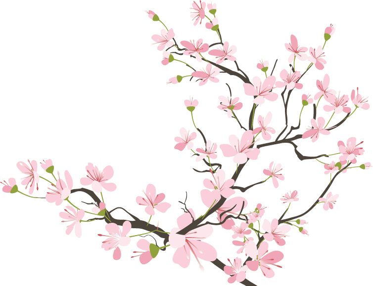 Japanese Cherry Blossom Clip Art - ClipArt Best