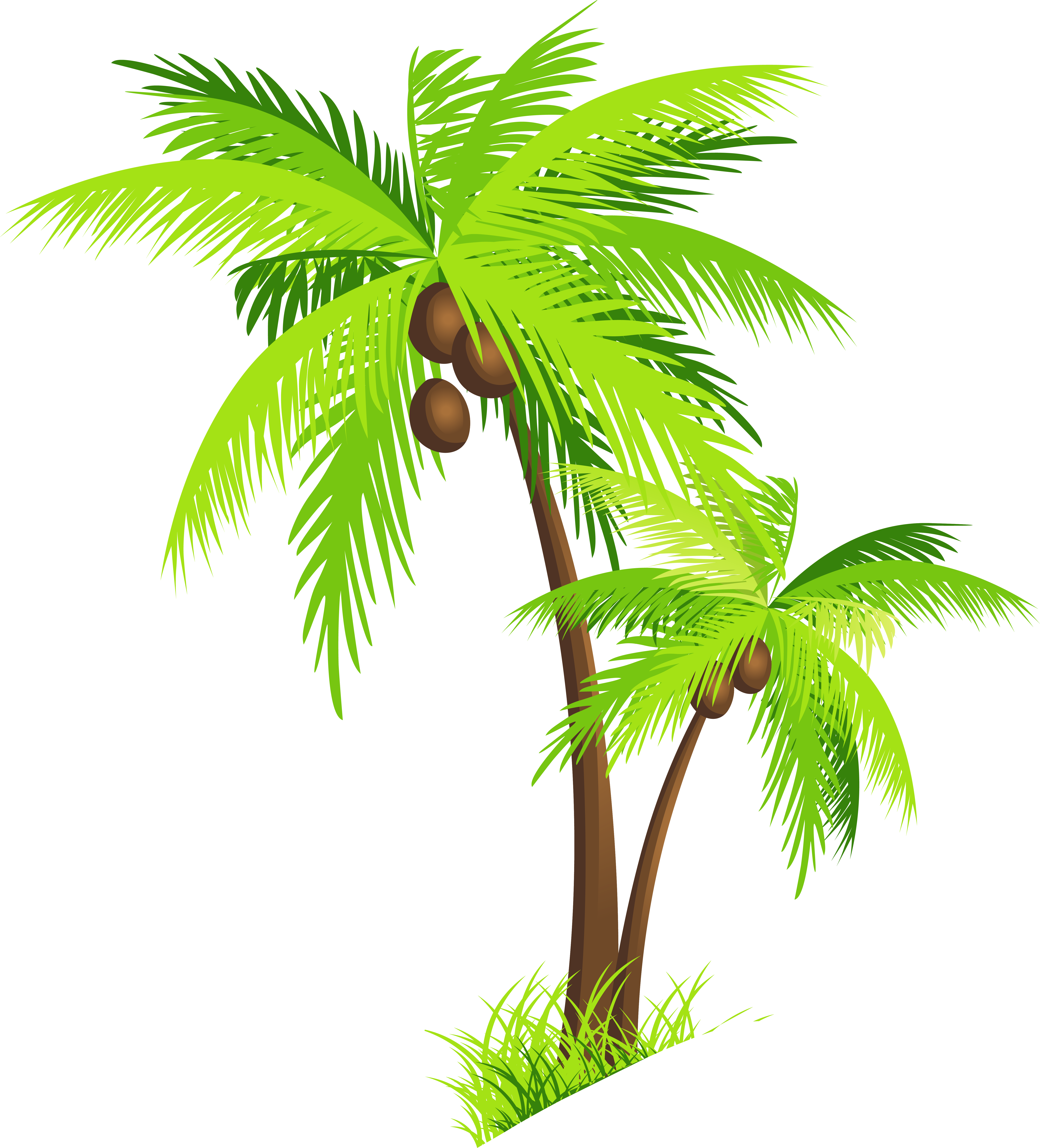 Cropped Gambar Kartun Pohon Kelapa Png Wallacea Format Coconut Tree ...