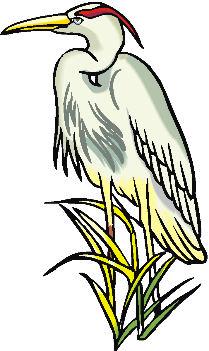 Heron Clip Art - Free Clipart Images
