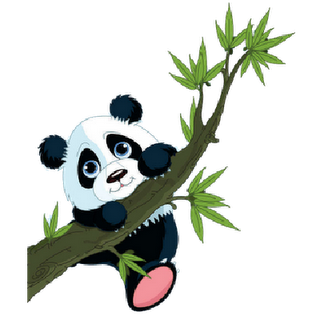 Cakes - Panda Bear | Panda Bear Cake, Panda Cakes and Be…