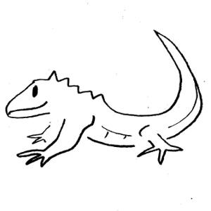 Outline Iguana - ClipArt Best