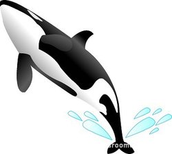 Humpback Whale Clipart - Free Clipart Images