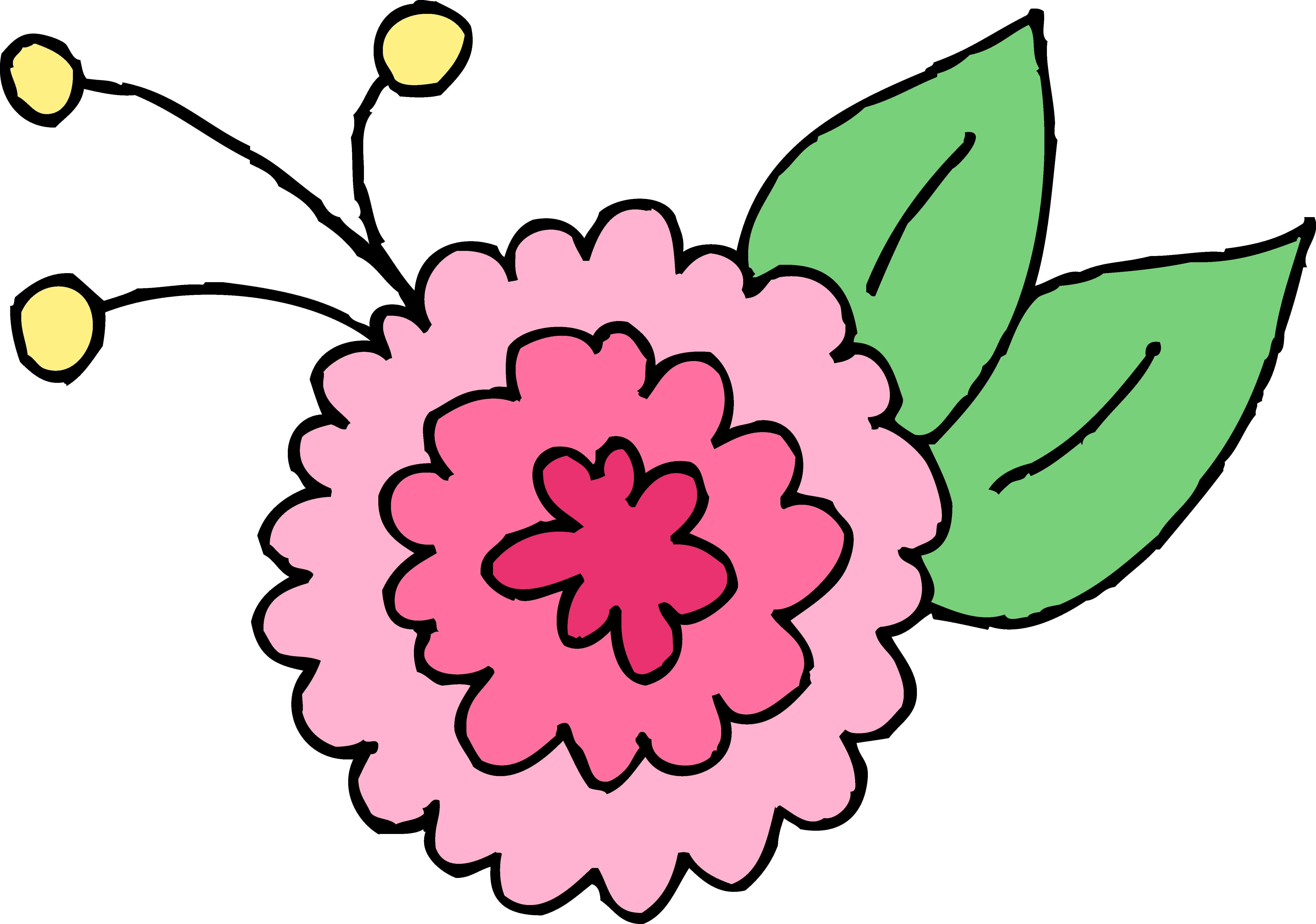Chrysanthemum Clip Art