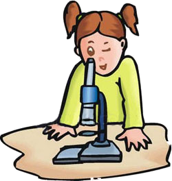 Microscope Clipart For Kids - Free Clipart Images