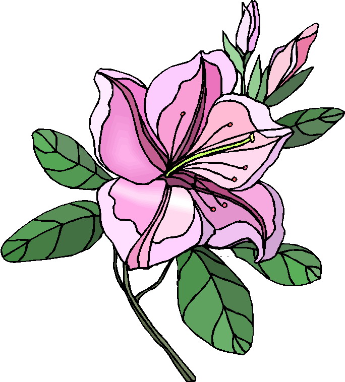 Plants Clip Art