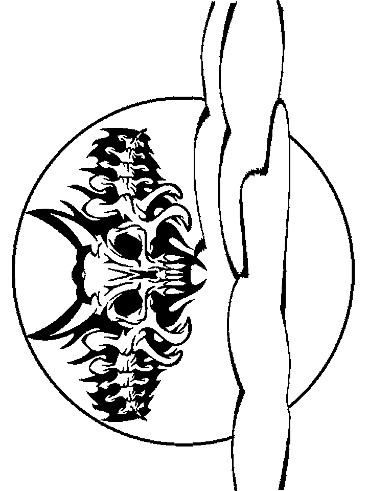 Printable Skull Pictures - ClipArt Best