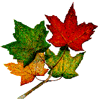 Great_Seal_of_Canada