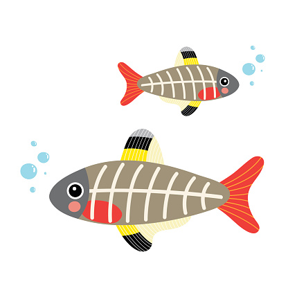 Orinoco River Clip Art, Vector Images & Illustrations