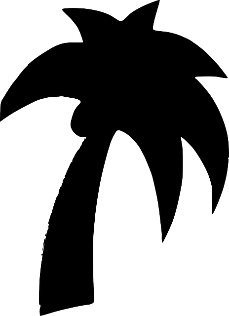 Gambar Pohon Kelapa Clip Art