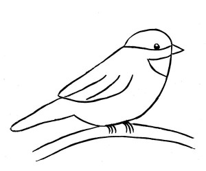 Maine State Bird Chickadee Coloring Page: Maine State Bird ...