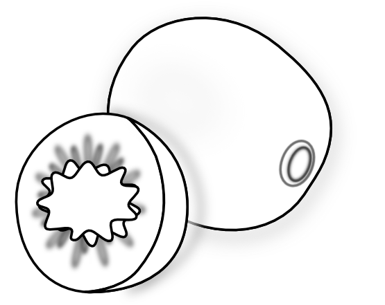 Food Kiwi 13 123 997 Black White Line Art Scalable Vector Graphics ...