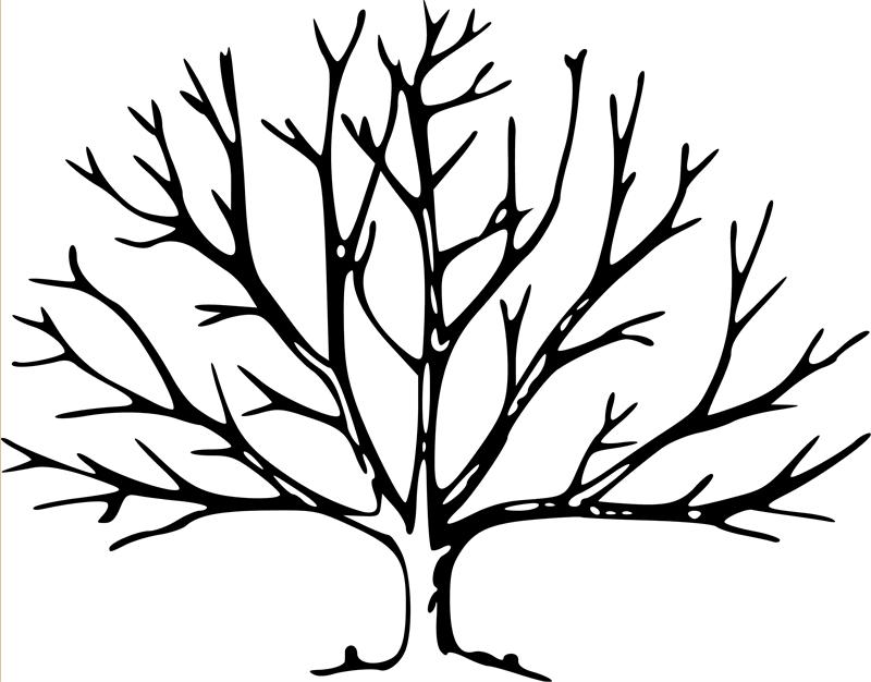 Bare Tree Coloring Page - Free Clipart Images