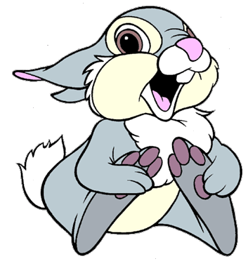 Pictures Of Rabbit