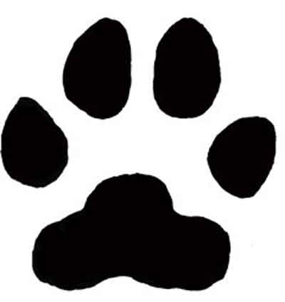 Best Photos of Printable Lion Paw Prints - Wolf Paw Print Clip Art ...