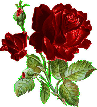 Roses Glitter Gifs