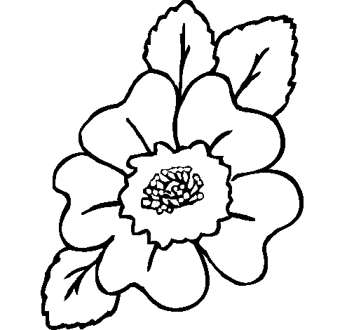 Coloring page Narcissus to color online - Coloringcrew.