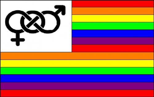 Gay Pride Flag | Spinny Liberal
