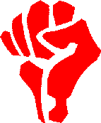 Danas: Interview with Teodora Tabacki, Social Democratic Youth ...