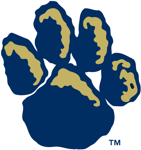 Panther Paw Soccer Ball Free Vector For Download About 415 S ...