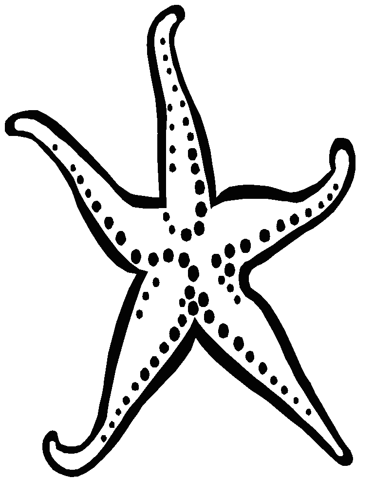 Sea Horse Coloring Page For Kids | 99coloring.