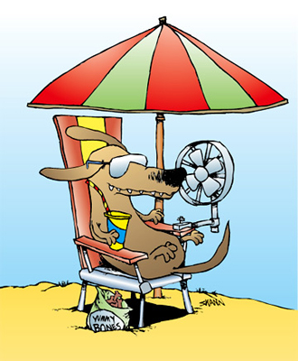Dog Days of Summer