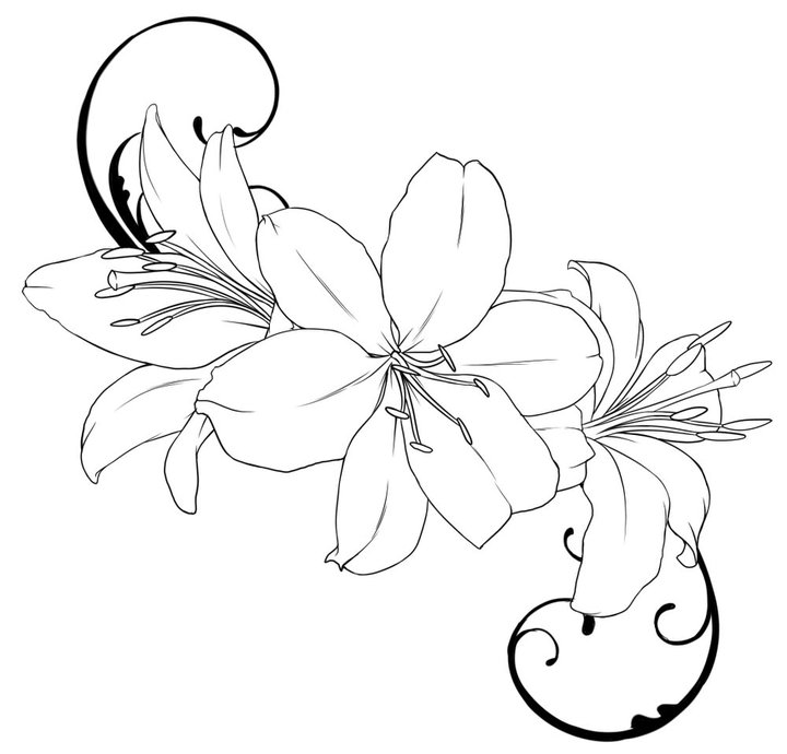 deviantART: More Like Old School Rose Outline by