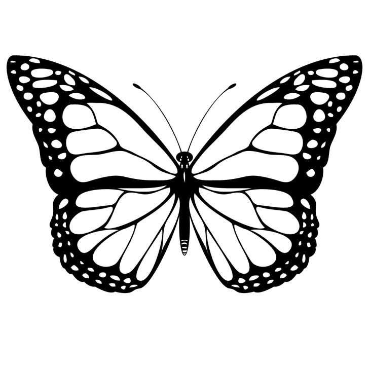 Free clipart of butterflies