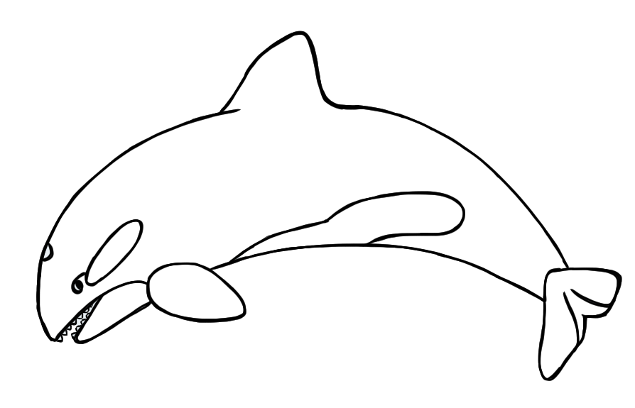 Orca Clipart - Free Clipart Images