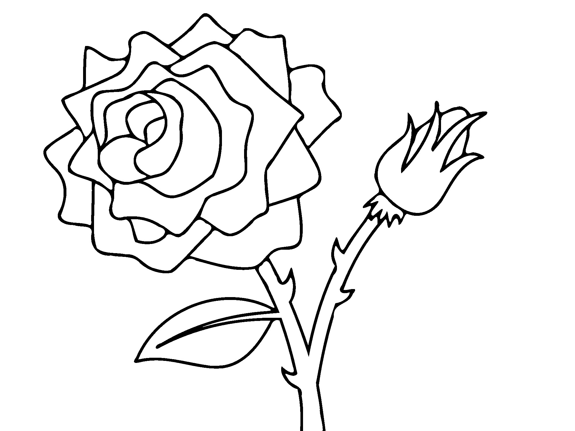 Rose Vines Drawings ClipArt Best special Coloring Pages Draw A ...